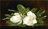 Magnolias on a Wooden Table by Martin Johnson Heade